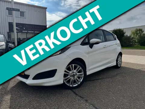 Ford Fiesta 1.0 EcoBoost Hot Hatch Sportpakket
