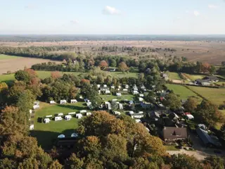 Camping Veluwe, bos, heide, fietsen, wandelen, rust.