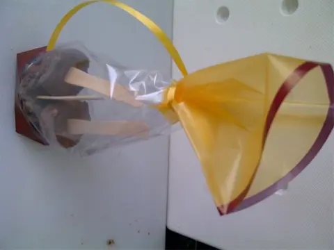 Exotisch kerstpakket