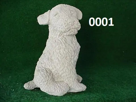 Hond
