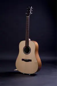 Ayers acoustische gitaar model D1