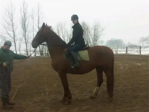 Gezocht; verzorgpony