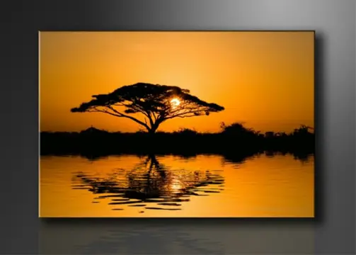 Nieuw canvas schilderij Afrika 120 x 80 cm