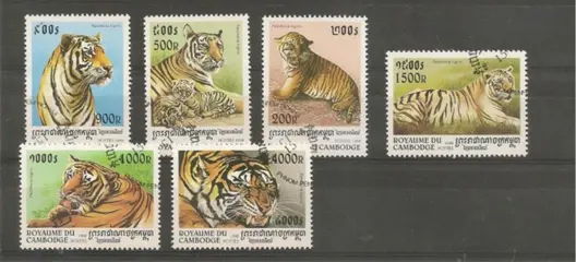 Cambodja tijgers