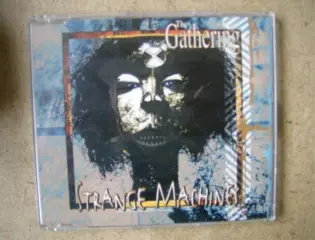 The cathering cd single adv. 118