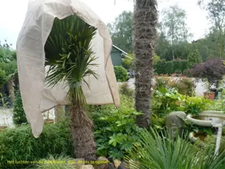 Thermojas, Vliesdoek, Boomjas, Vliesdoekhoes voor uw planten