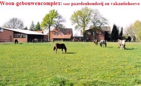 Woon-gebouwencomplex, paardenhouderij, vakantiehoeve