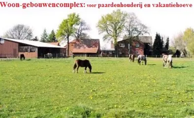 Woon-gebouwencomplex, paardenhouderij, vakantiehoeve