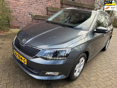 Skoda Fabia Combi 1.0 TSI Style Business DSG Heel veel extra's
