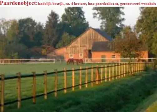 Paardenhoeve, ca. 4 hectare, boxen, bosrijke omgeving