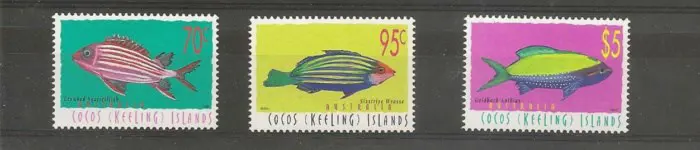 Vissen uit Cocos Island