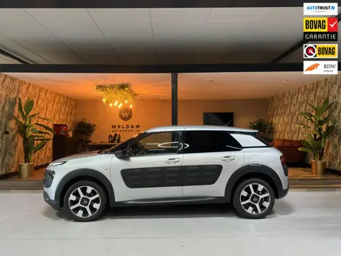 Citroen C4 Cactus 1.2 PureTech Shine NAP Garantie Trekhaak Cruise Navi Led Clima Rijklaar