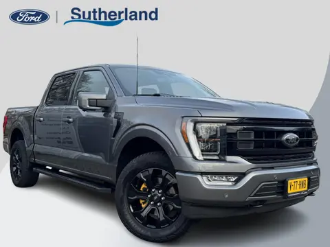 Ford USA F150 5.0 V8 SuperCrew Lariat | SCI | 401pk | Automaat | 5 persoons  | Grijs kenteken | Lede