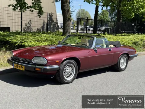 Jaguar XJS 5.3 V12 Convertible