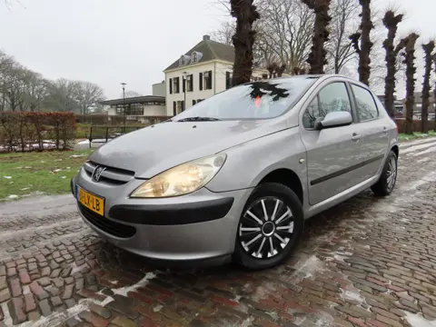 Peugeot 307 2.0-16V XT ECC Cruisecontrol Pdc 5 Drs Trekhaak***Apk t/m 15-1-2027***