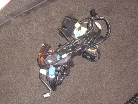 Wire Harness Suzuki GSF 600 650 Bandit  2000 - 2004