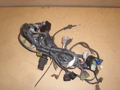 Wire Harness Yamaha YZF 600 Thundercat 1996 - 2003