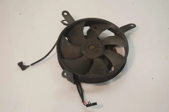 Fan Overig Onbekend Unknown 1950 - 2011