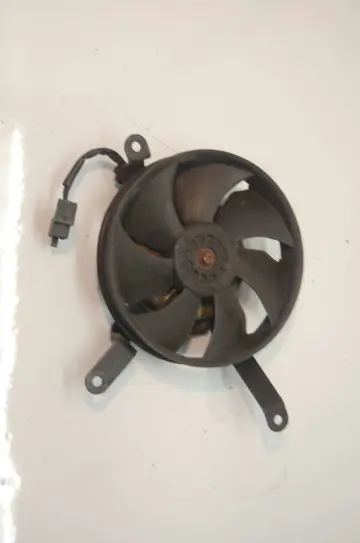 Fan Overig Onbekend Unknown 1950 - 2011