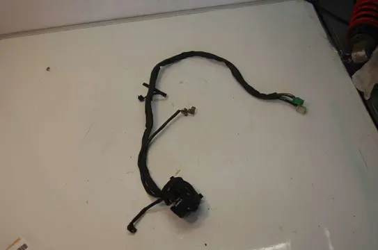 Handlebar switch assy Overig Onbekend Unknown 1950 - 2011