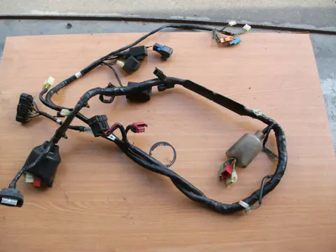 Wire Harness Honda CBR 600 F 1999 - 2000
