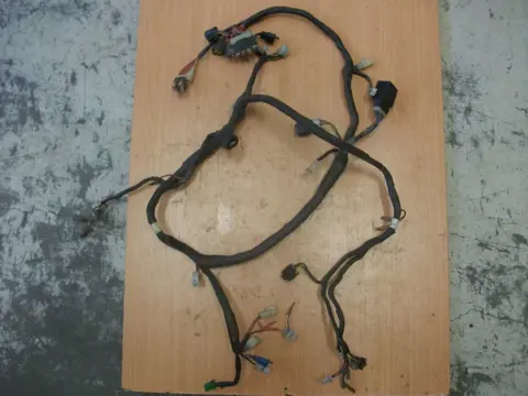 Wire Harness Yamaha XJ 900 S Diversion 1994 - 2005