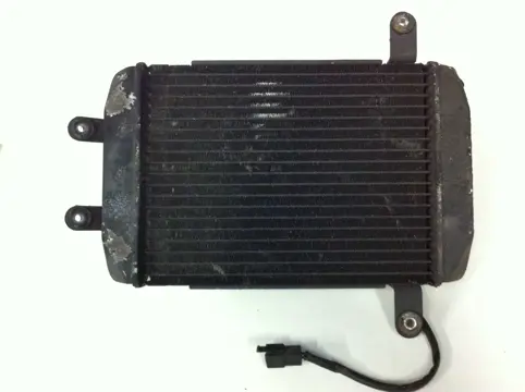 Radiator Suzuki Burgman 400 1998 - 2000