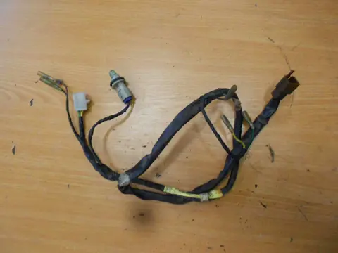 Wire harness front Yamaha TDM 1996 - 2000
