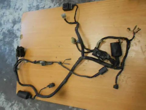 Wire Harness Yamaha TDM 1996 - 2000