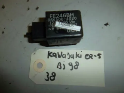 Other Kawasaki ER 5 1997 - 2005