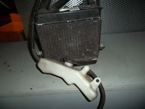 RADIATEUR Honda Fes 150 1996 - 1999