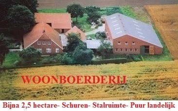 Woonboerderij, landelijk, 2,5 hectare, schuur/stallen