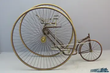 Royal Salvo  tricycle 3602-102