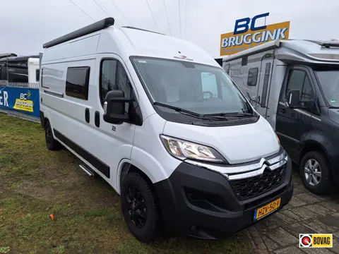 Roller Team Livingstone 2 600 COMPACT 599CM 5554KM ZGAN