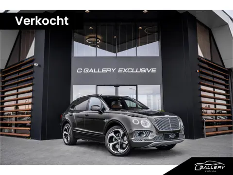 Bentley Bentayga 6.0 W12 First Edition - Panorama | NAIM | Massage | Stoelkoeling | Elek. Trekhaak