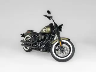 Harley-Davidson FLSS 110 Slim (bj 2016)