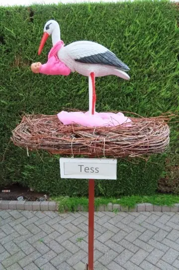 Goedkoopst geboortebord huren, geen borg