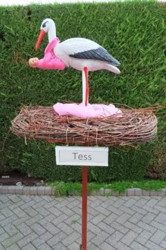 Goedkoopst geboortebord huren, geen borg