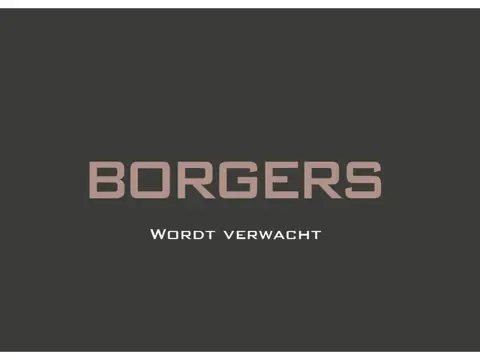 Audi Q7 60 TFSIe 4-wielsturing l Massage l Trekhaak l B&O