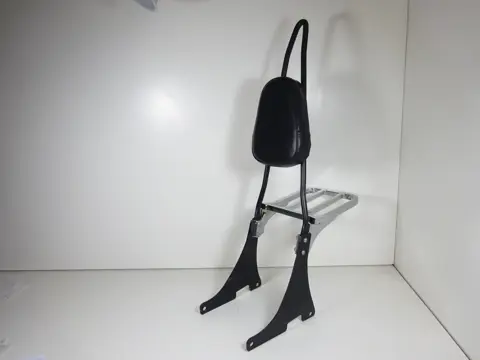 RUGSTEUN SISSYBAR Harley Davidson Sportster 2004 - 2021