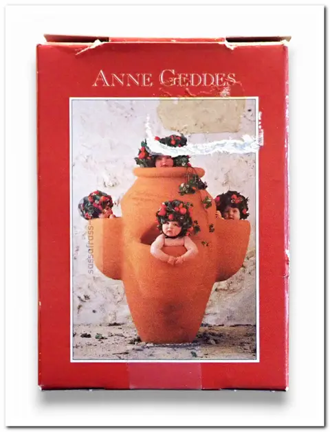 Anne Geddes: 4 Small Strawberries - Schmidt Puzzle - 54 Stukjes