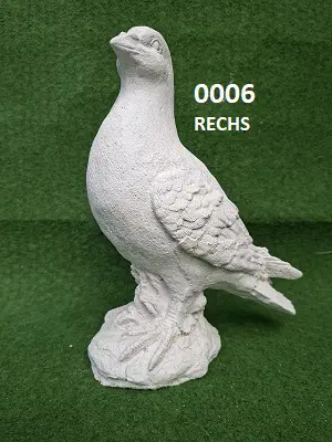 Duif. 0006