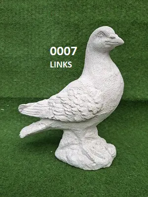 Duif. nr 0007