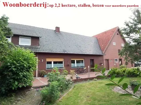 Woonboerderij, 2,2 hectare, stalruimte voor paarden