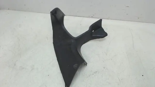 RECHTER ACHTERKANT Honda CBR 1100 XX 1999 - 2006