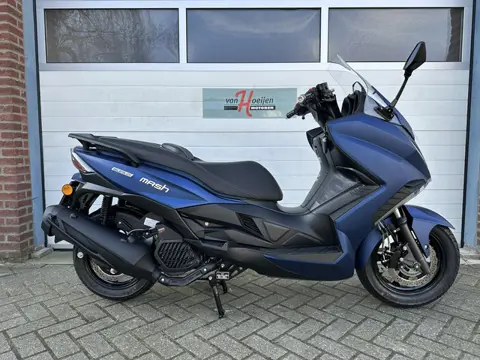 Mash MASH BELENA 125 (bj 2023)