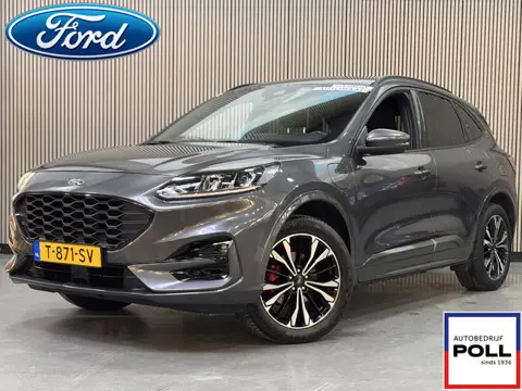 Ford Kuga 2.5 PHEV ST-Line Navi Camera Wegklapbare Trekhaak 19" Lichtmetalen velgen Dealeronderhoude