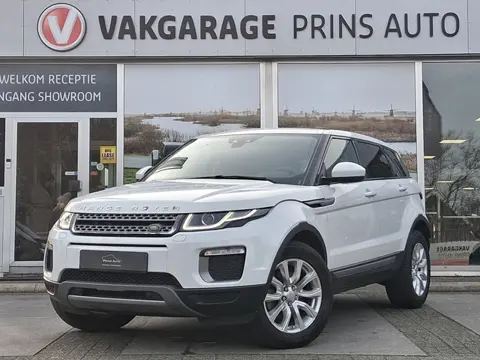 Land Rover Range Rover Evoque 2.0 TD4 SE Dynamic |PANO|STOELVERW.|CAMERA|ELEK ACHTERKLEP 18115 / 442