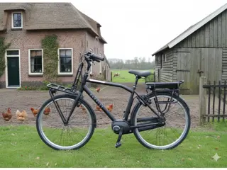 Gazelle Heavy Duty Framemaat 54 cm 300 WH accu