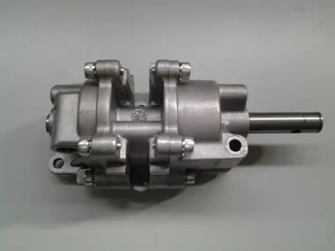 OLIEPOMP Aprilia RSV 4 2009 - 2010